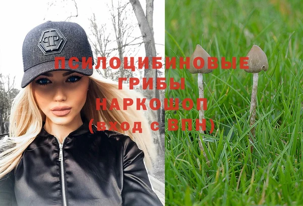 сатива Балабаново
