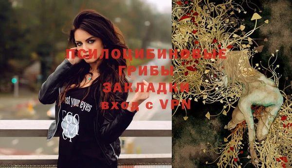 дмт Баксан