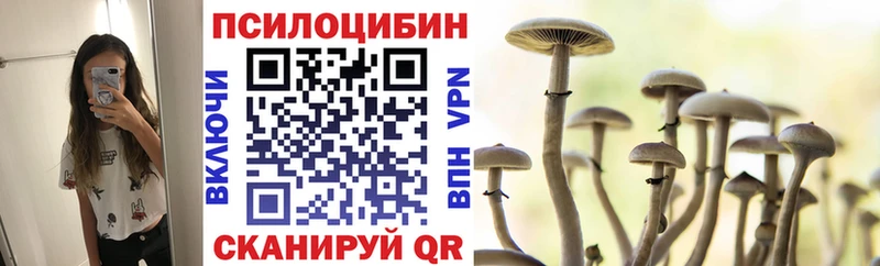 Галлюциногенные грибы Psilocybine cubensis магазин Отрадное